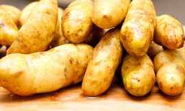 Potato research paper